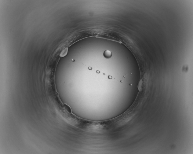 X0000111020217200906191700