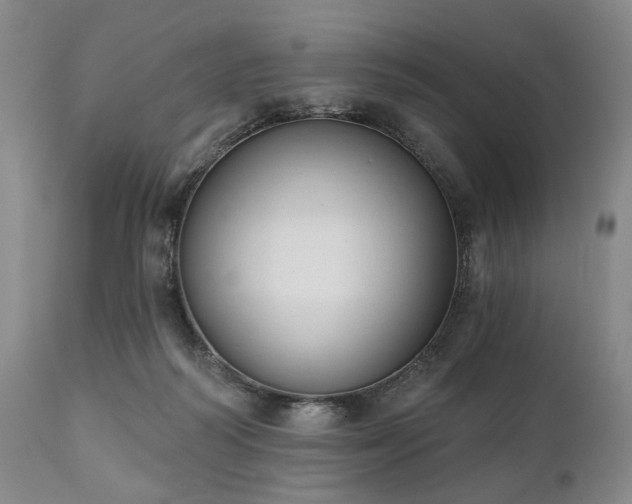 X0000111020218200906191700