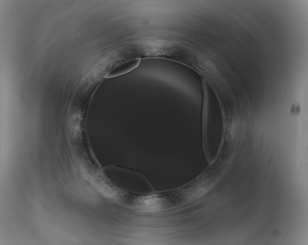 X0000111020219200906191700