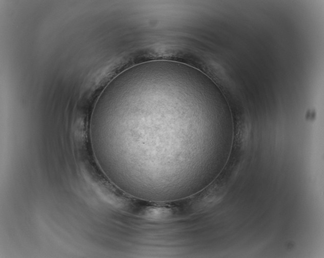 X0000111020220200906191700