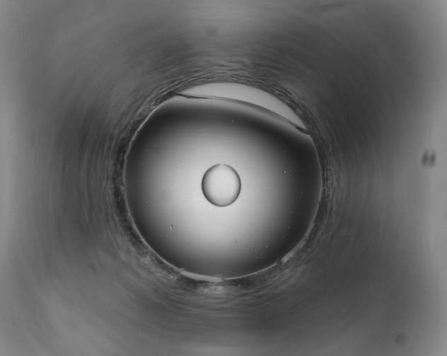 X0000111020221200906191700