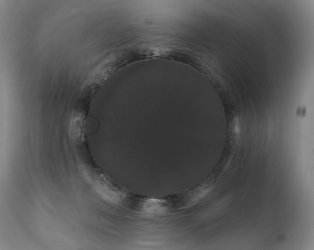 X0000111020222200906191700