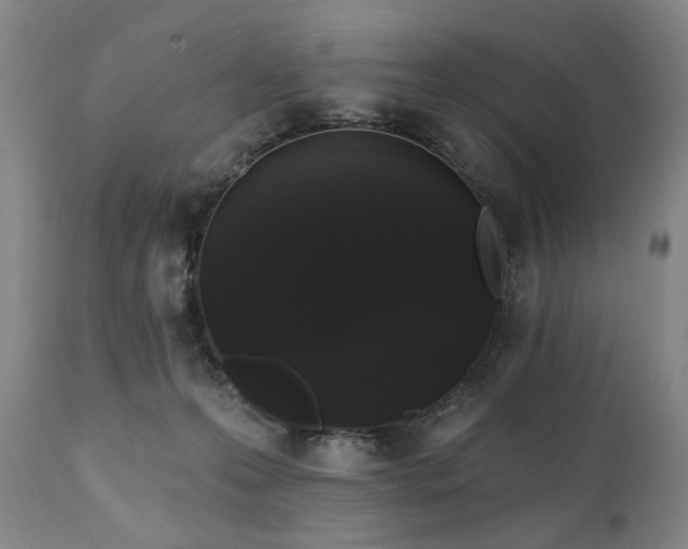 X0000111020223200906191700