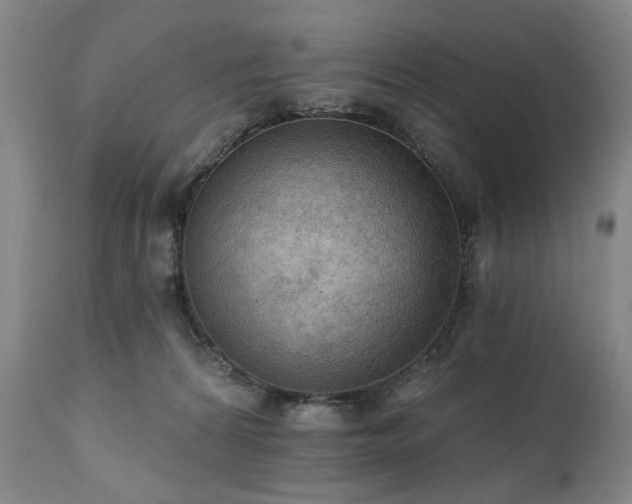 X0000111020224200906191700