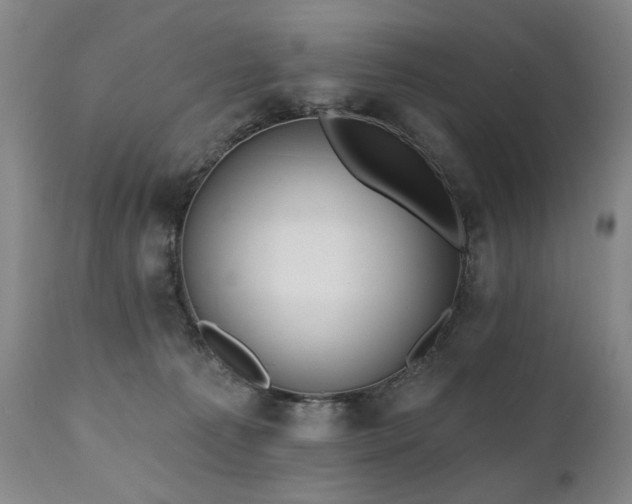 X0000111020225200906191700
