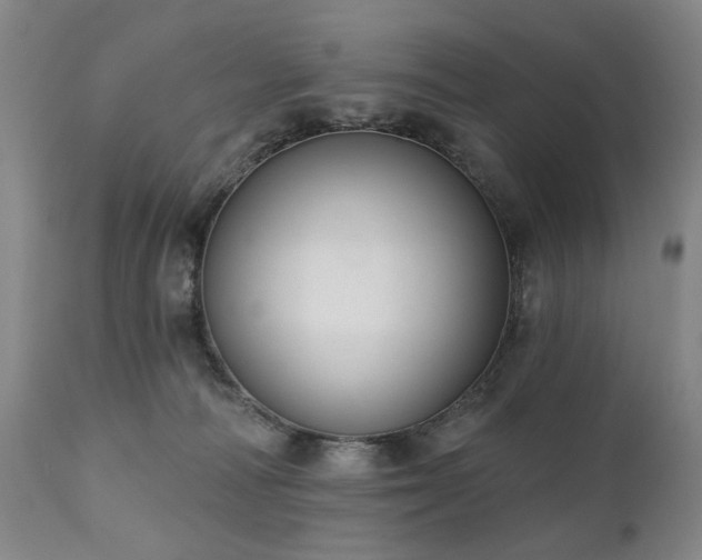 X0000111020226200906191700