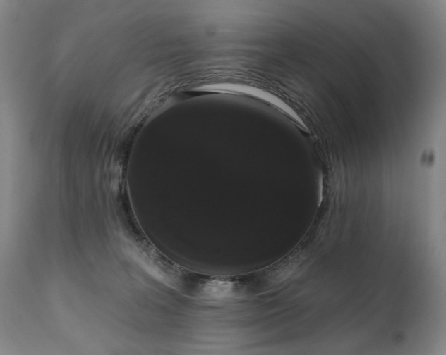 X0000111020227200906191700