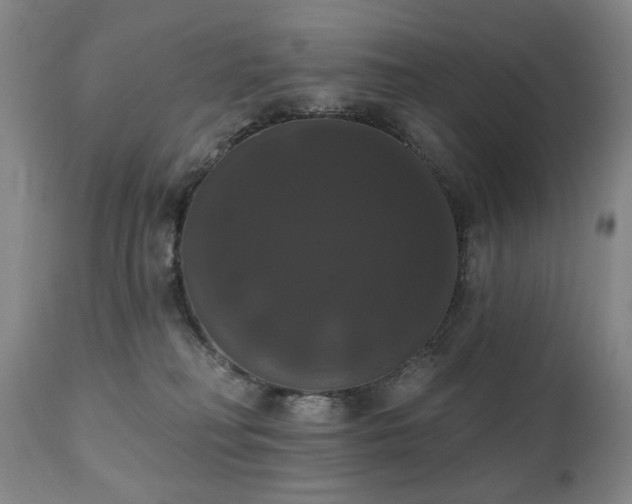 X0000111020230200906191659