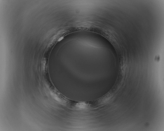 X0000111020231200906191659