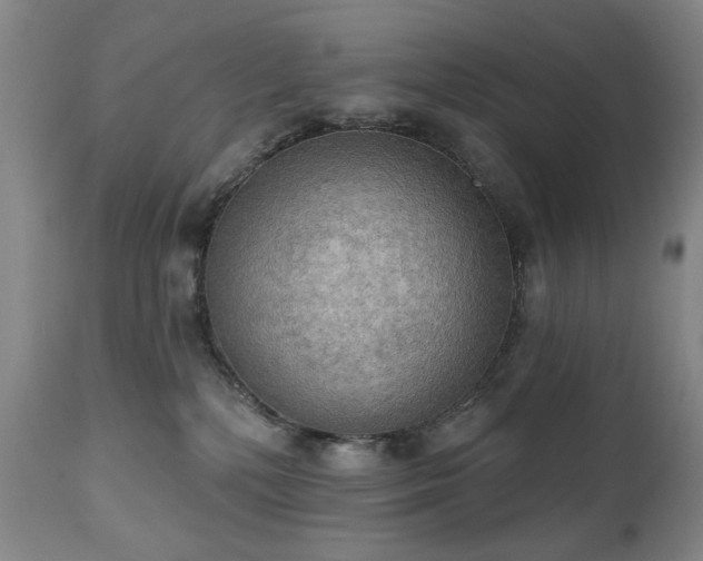 X0000111020232200906191659