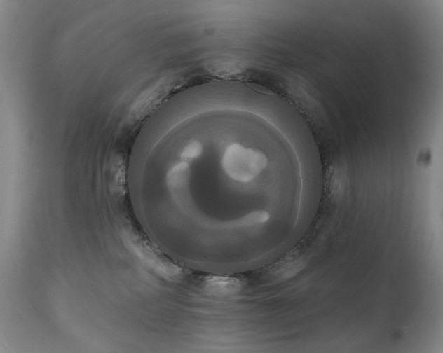 X0000111020234200906191659