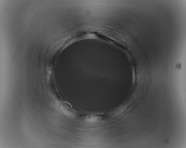X0000111020235200906191659
