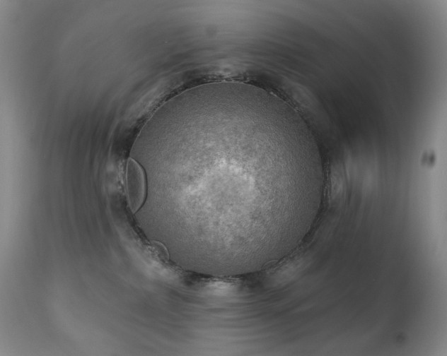 X0000111020236200906191659