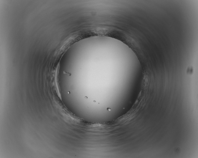X0000111020237200906191659