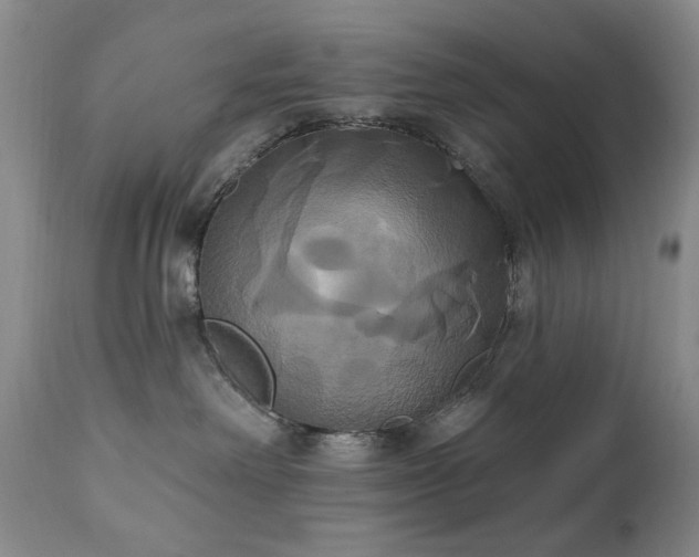 X0000111020238200906191659