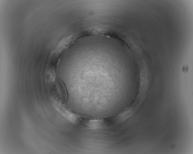 X0000111020240200906191659