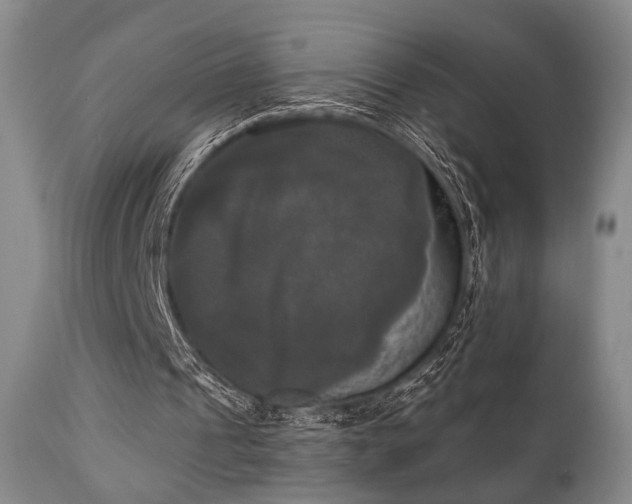 X0000111020241200906191659