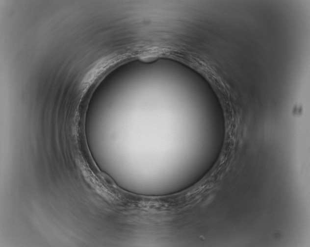 X0000111020242200906191659