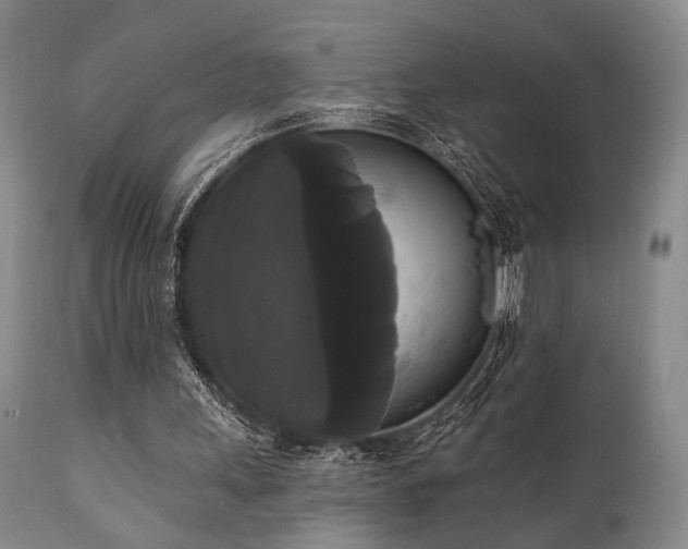 X0000111020243200906191659