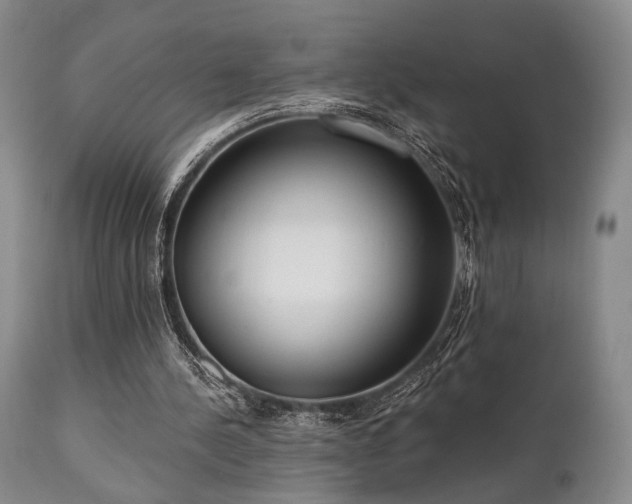 X0000111020244200906191659
