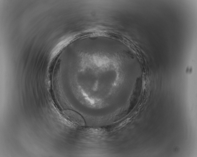 X0000111020245200906191659