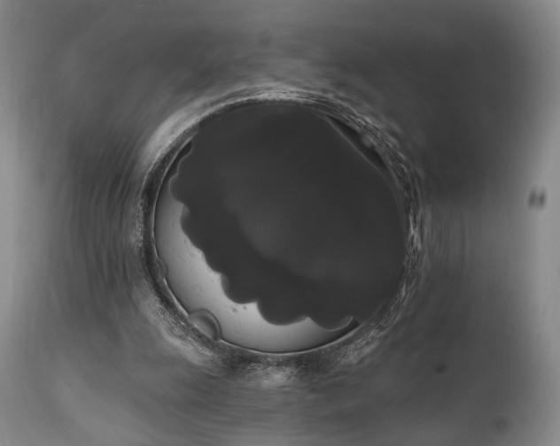 X0000111020247200906191659