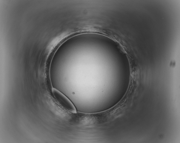 X0000111020248200906191659