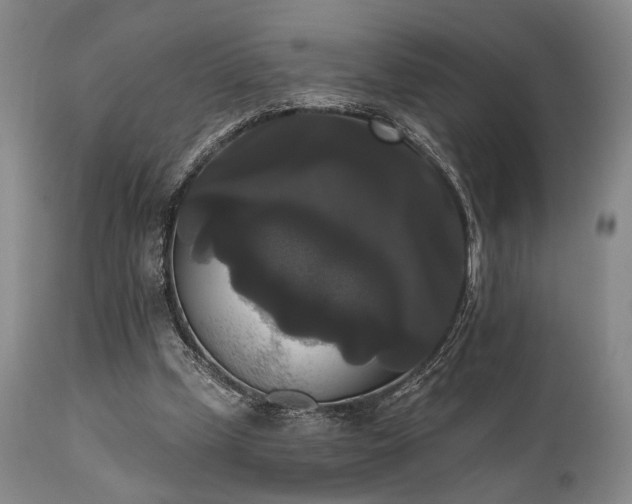 X0000111020249200906191659