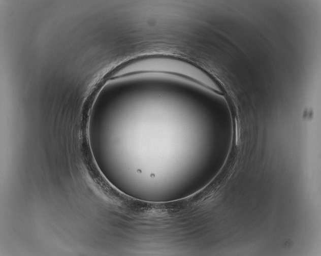 X0000111020252200906191659