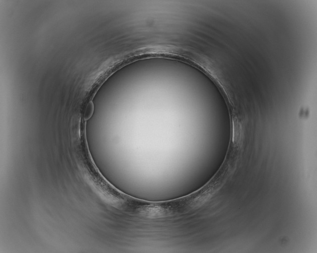 X0000111020253200906191659