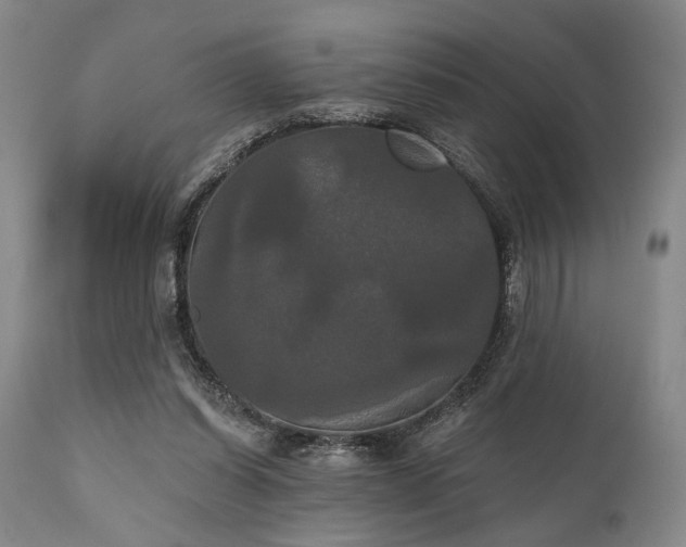 X0000111020254200906191659