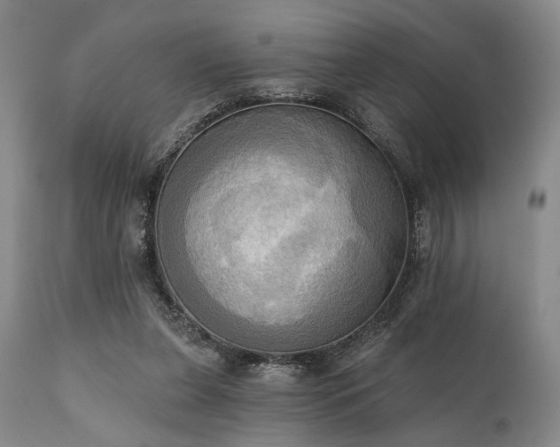 X0000111020255200906191659