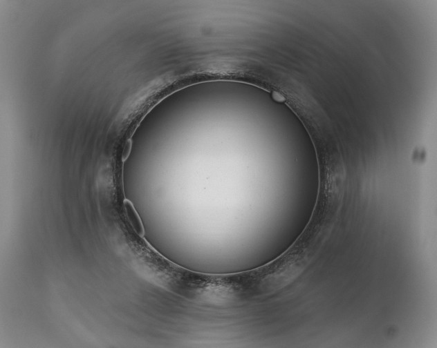 X0000111020256200906191659