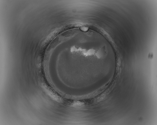 X0000111020257200906191659
