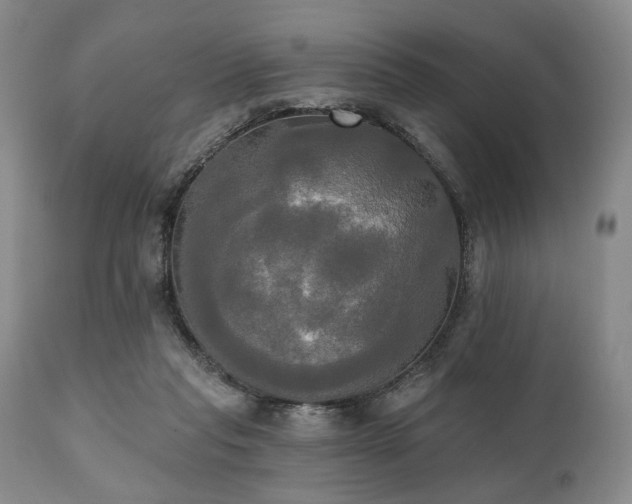 X0000111020261200906191659