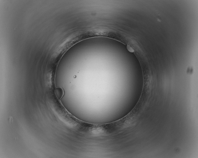 X0000111020262200906191659
