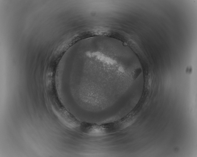 X0000111020263200906191659