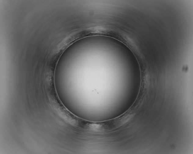 X0000111020265200906191659