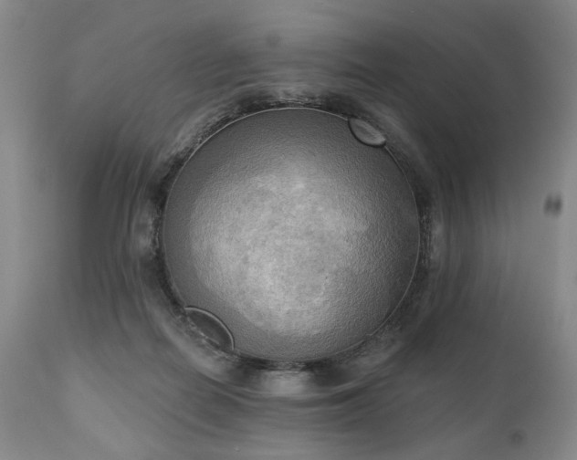 X0000111020266200906191659