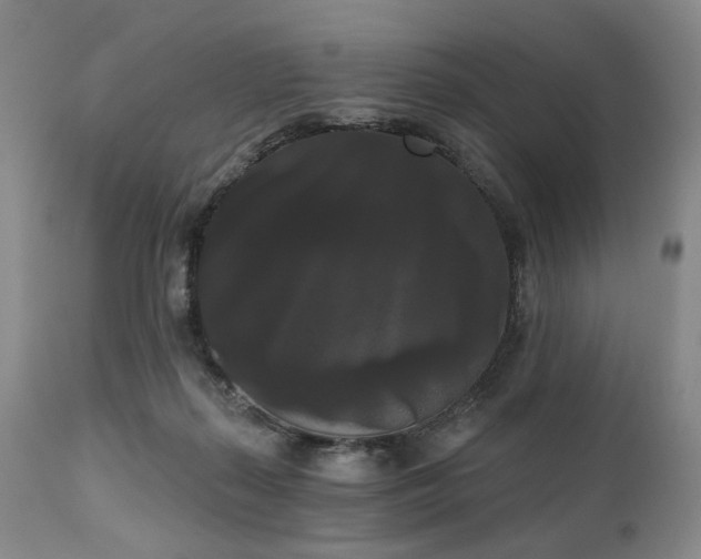 X0000111020267200906191659