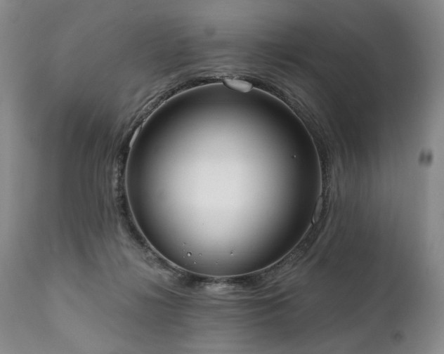 X0000111020268200906191659