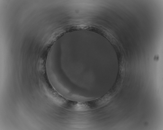 X0000111020270200906191659