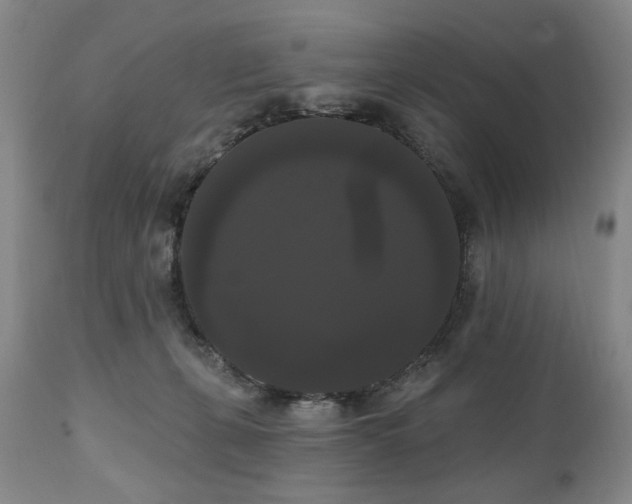 X0000111020271200906191659
