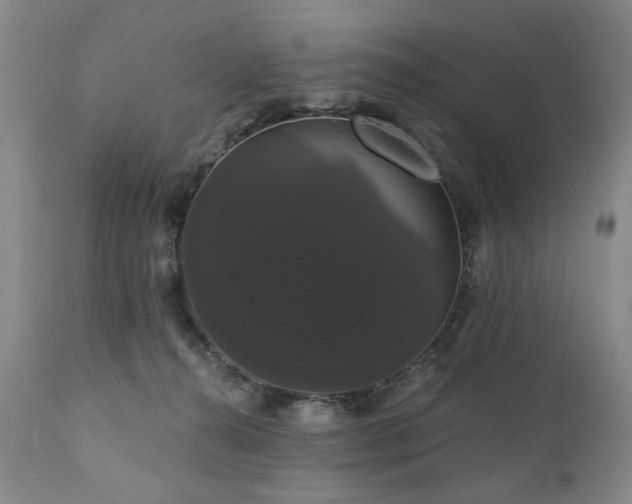 X0000111020272200906191659