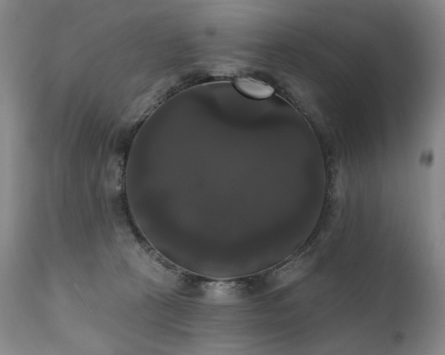 X0000111020273200906191659