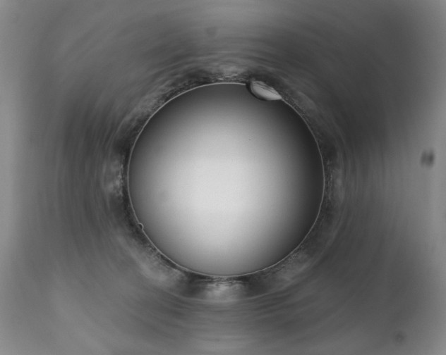 X0000111020274200906191659