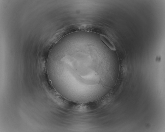 X0000111020276200906191659