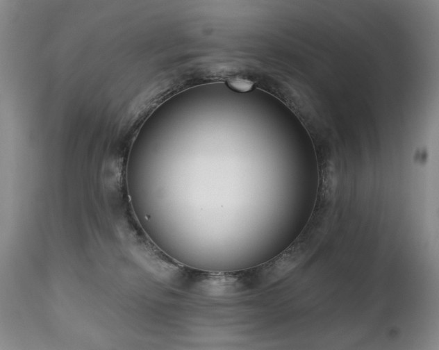 X0000111020278200906191659