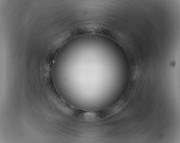 X0000111020279200906191659