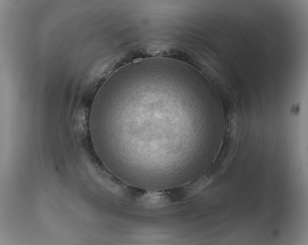 X0000111020280200906191659